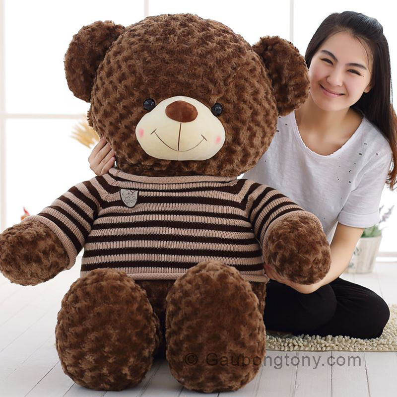 Gấu Teddy áo len choco