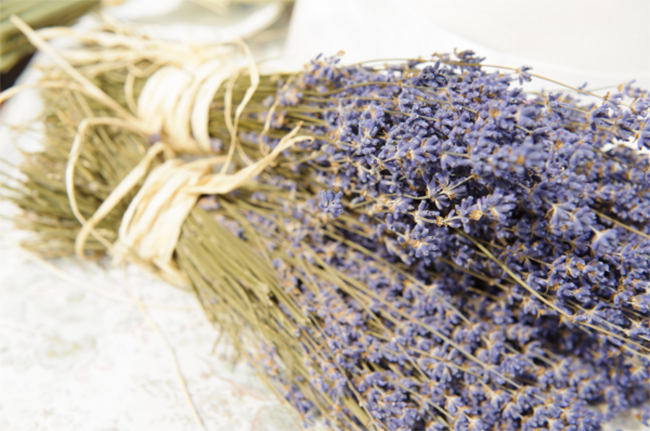 Cách bảo quản hoa oải hương, hoa lavender khô