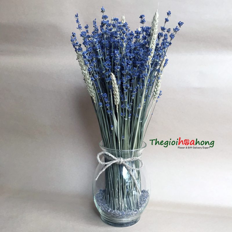 Bình hoa lavender nồng nàn