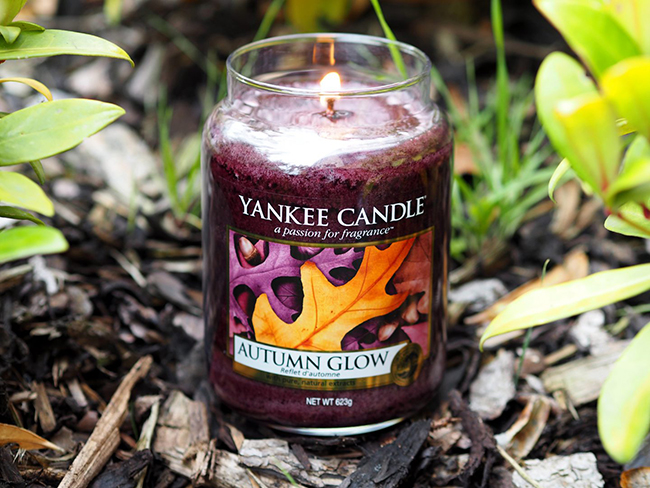 Nến thơm Yankee Candle Autumn Glow