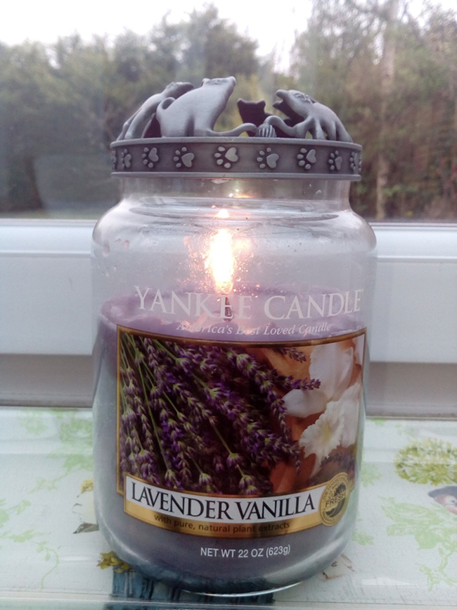 Nến Hũ Lavender Vanilla