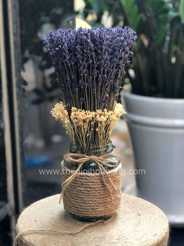 Bình hoa lavender oải hương khô L0003