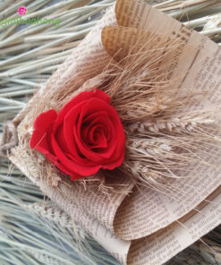 Mộc mạc - Hoa hồng đỏ vĩnh cửu
