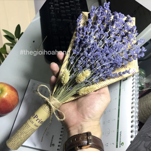 Bó hoa lavender khô L0040