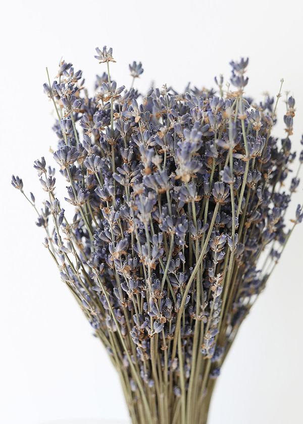 Bó hoa oải hương khô - lavender dried bundle