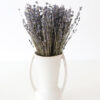 Bó hoa oải hương khô - lavender dried bundle