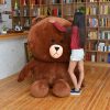 Gấu brown size lớn
