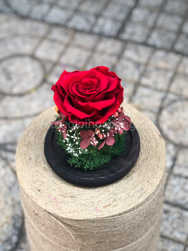 Hoa hồng đỏ vĩnh cửu Là Em - RED02
