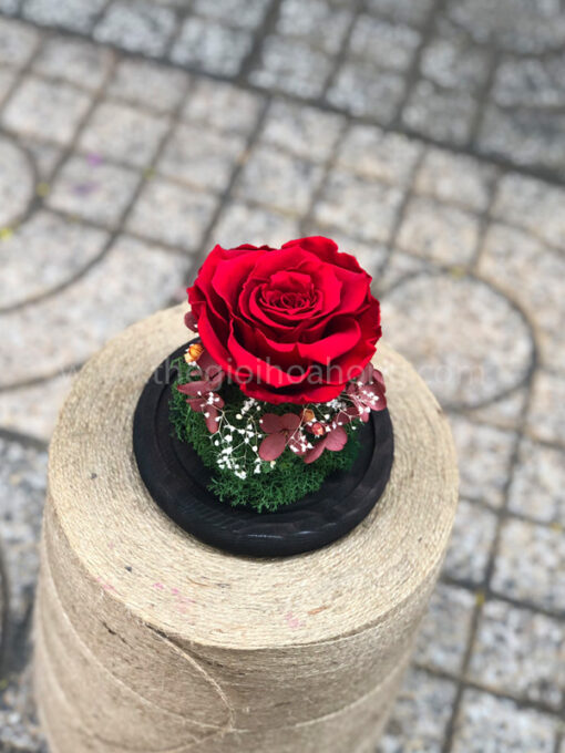 Hoa hồng đỏ vĩnh cửu Là Em - RED02