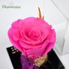 Love Box - Hoa hồng cánh sen