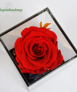 Love Box - Hoa hồng đỏ vĩnh cửu