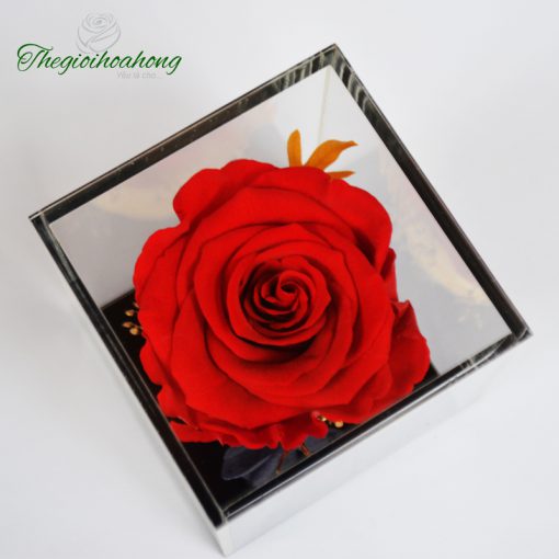 Love Box - Hoa hồng đỏ vĩnh cửu