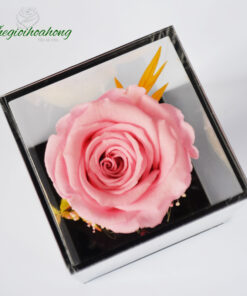 Love Box - Hoa hồng phấn vĩnh cửu
