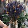 Bình hoa lavender - Oải hương khô nồng nàn