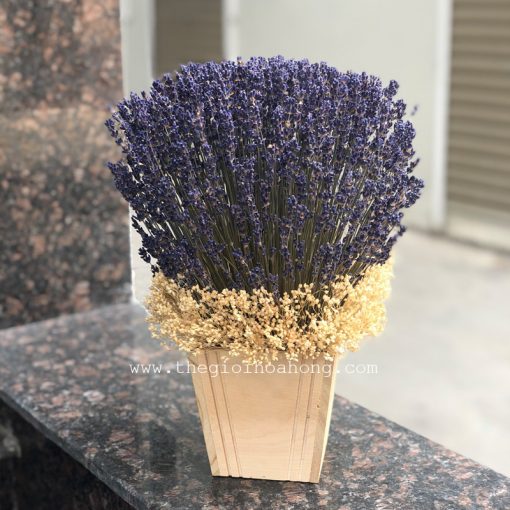 Hộp hoa lavender khô L0053