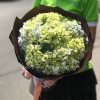 Bó hoa cẩm tú cầu - Gửi lời xin lỗi