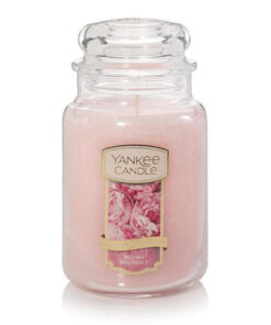Nến thơm Yankee candle Blush Bouquet