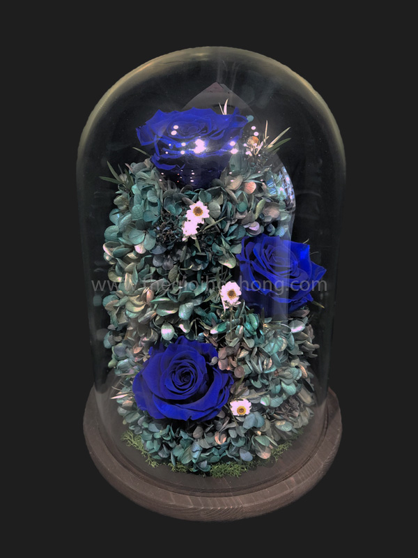 Hoa hồng xanh Love Magic - BLU03