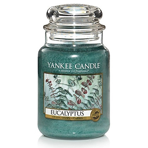 Nến thơm Yankee Candle Eucalyptus