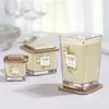 Nến ly Yankee Candle Elevation Citrus Grove