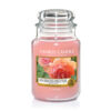 Nến Hũ Yankee Candle Sun-Drenched Apricot Rose