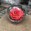Hoa hồng cam vĩnh cửu Dream Love - BIC10