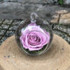 Hoa hồng tím vĩnh cửu Dream Love - VIO02