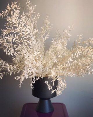 Trang trí Hoa khô thời thượng với Lá chanh ý trắng