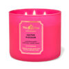 Nến thơm Bath And Body Works CACTUS BLOSSOM 3-WICK CANDLE