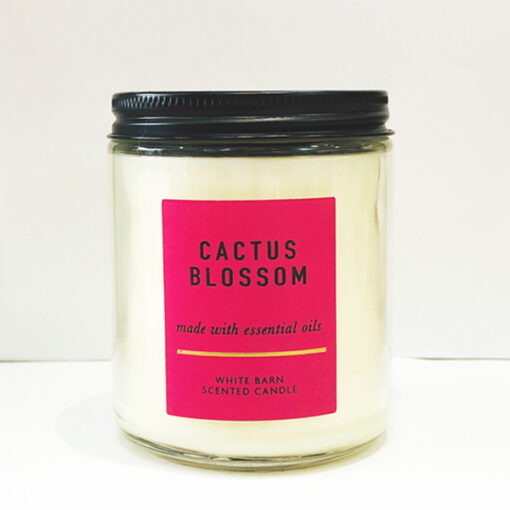 Nến thơm Cactus Blossom SINGLE WICK CANDLE
