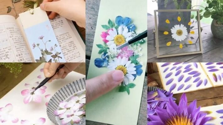 Cách làm hoa khô kẹp sách